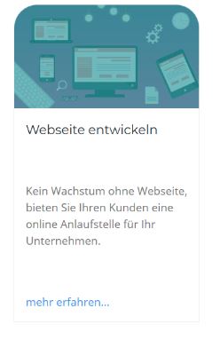 Screenshot von Website "Website entwickeln"
